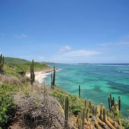 サンタンヌHamo Tropical Piscine Proche Plageアパートメント エクステリア 写真