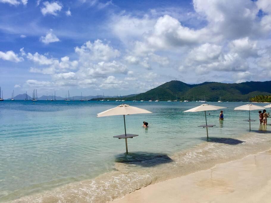 サンタンヌHamo Tropical Piscine Proche Plageアパートメント エクステリア 写真