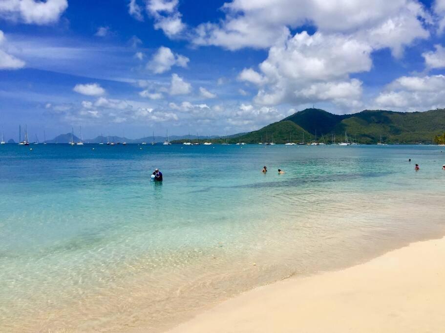 サンタンヌHamo Tropical Piscine Proche Plageアパートメント エクステリア 写真