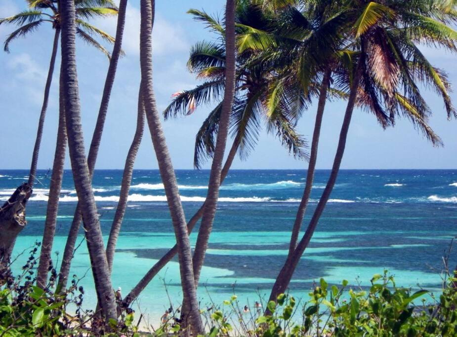 サンタンヌHamo Tropical Piscine Proche Plageアパートメント エクステリア 写真