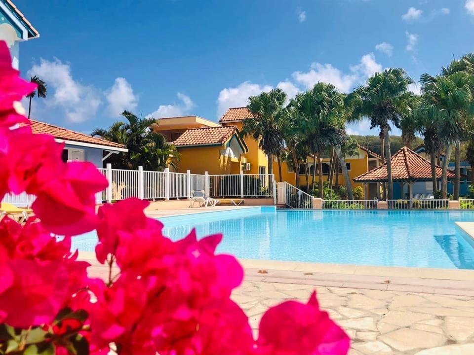 サンタンヌHamo Tropical Piscine Proche Plageアパートメント エクステリア 写真